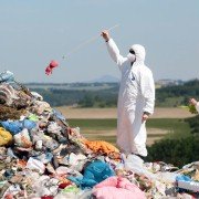 Kuky se vrací - galeria zdjęć - filmweb