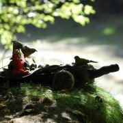 Kuky se vrací - galeria zdjęć - filmweb