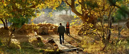 Dzika grusza - galeria zdjęć - filmweb
