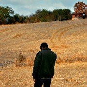 Ahlat Ağacı - galeria zdjęć - filmweb