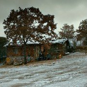 Ahlat Ağacı - galeria zdjęć - filmweb