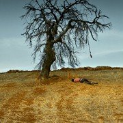 Ahlat Ağacı - galeria zdjęć - filmweb