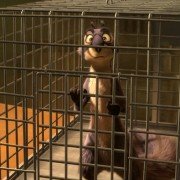 The Nut Job - galeria zdjęć - filmweb