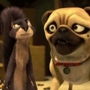The Nut Job - galeria zdjęć - filmweb