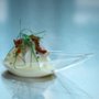 Next Gen Chef - galeria zdjęć
