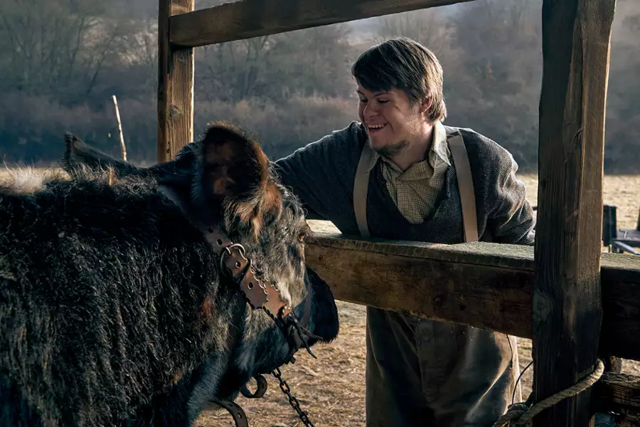 Krew i złoto - galeria zdjęć - filmweb