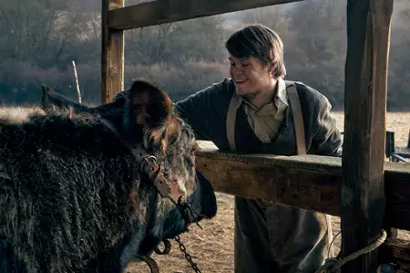 Krew i złoto - galeria zdjęć - filmweb
