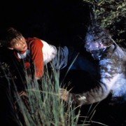Maksymalne przyspieszenie - galeria zdjęć - filmweb