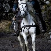 Season of the Witch - galeria zdjęć - filmweb
