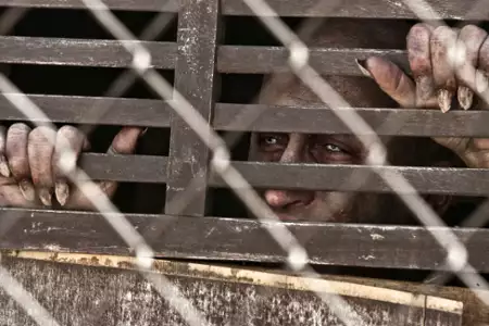 Ksiądz - galeria zdjęć - filmweb