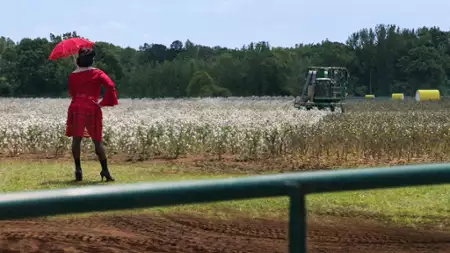 P-Valley - galeria zdjęć - filmweb