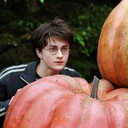 Harry Potter and the Prisoner of Azkaban - galeria zdjęć - filmweb