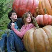 Harry Potter and the Prisoner of Azkaban - galeria zdjęć - filmweb