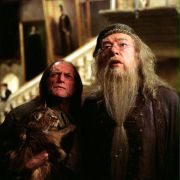 David Bradley w Harry Potter i więzień Azkabanu