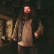 Robbie Coltrane w Harry Potter i więzień Azkabanu