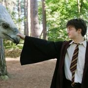 Harry Potter and the Prisoner of Azkaban - galeria zdjęć - filmweb