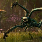 The Elder Scrolls Online - galeria zdjęć - filmweb