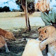 Born Free - galeria zdjęć - filmweb