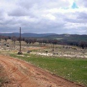 Karaman - galeria zdjęć - filmweb