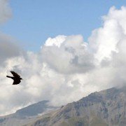 Les aiguilles rouges - galeria zdjęć - filmweb