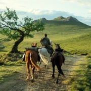 Rycerz siedmiu kr&oacute;lestw - galeria zdjęć - filmweb