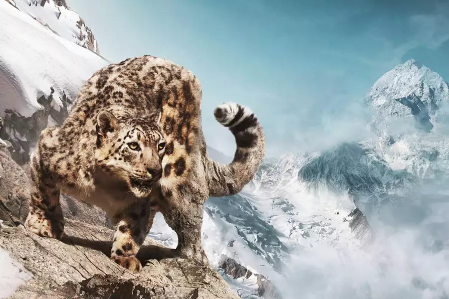 Azja - galeria zdjęć - filmweb