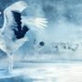Azja - galeria zdjęć