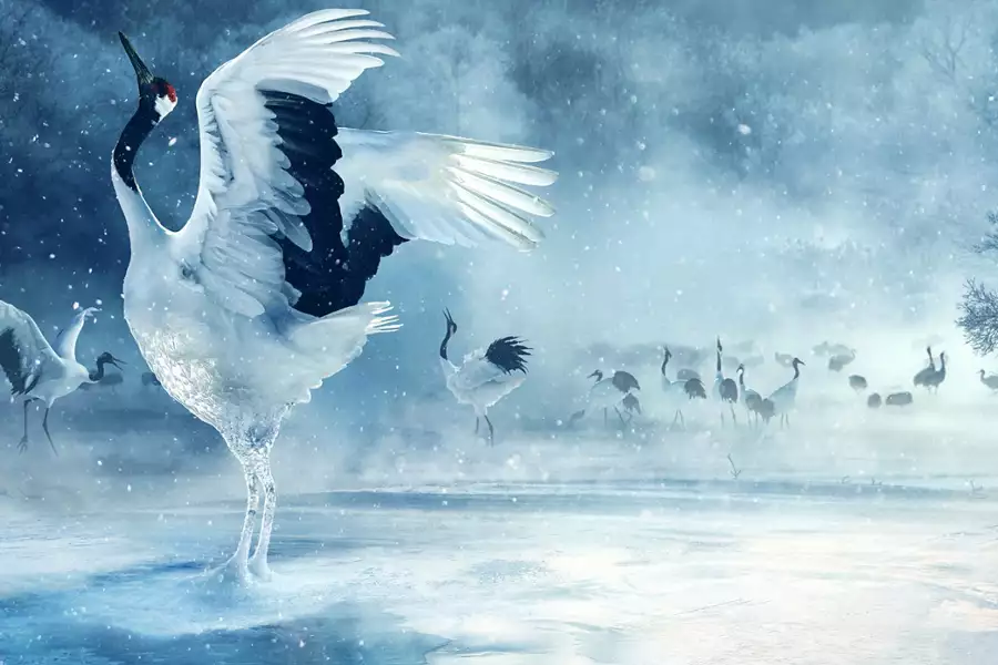 Azja - galeria zdjęć - filmweb