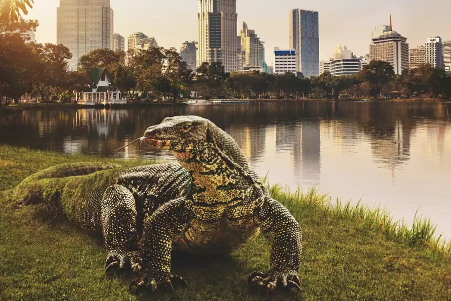 Azja - galeria zdjęć - filmweb