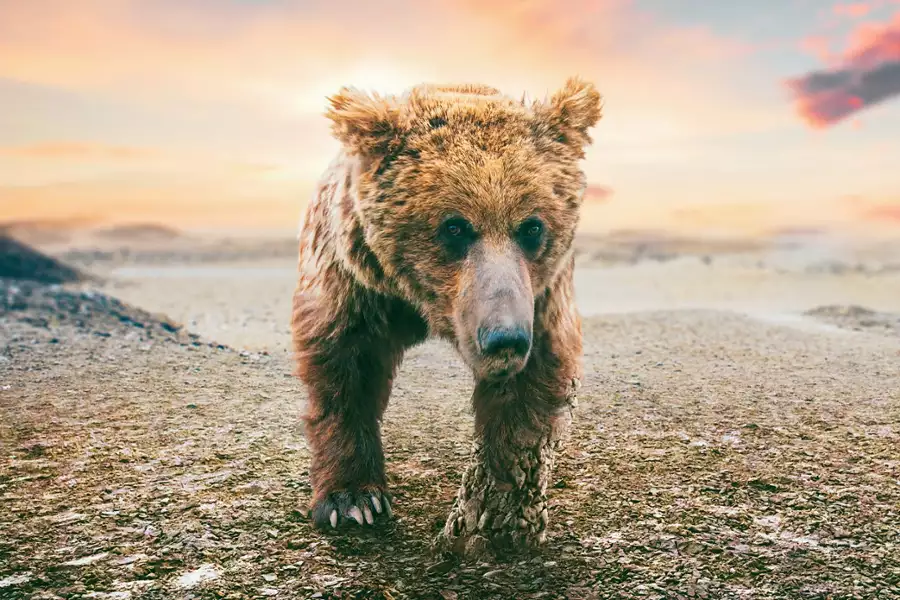 Azja - galeria zdjęć - filmweb