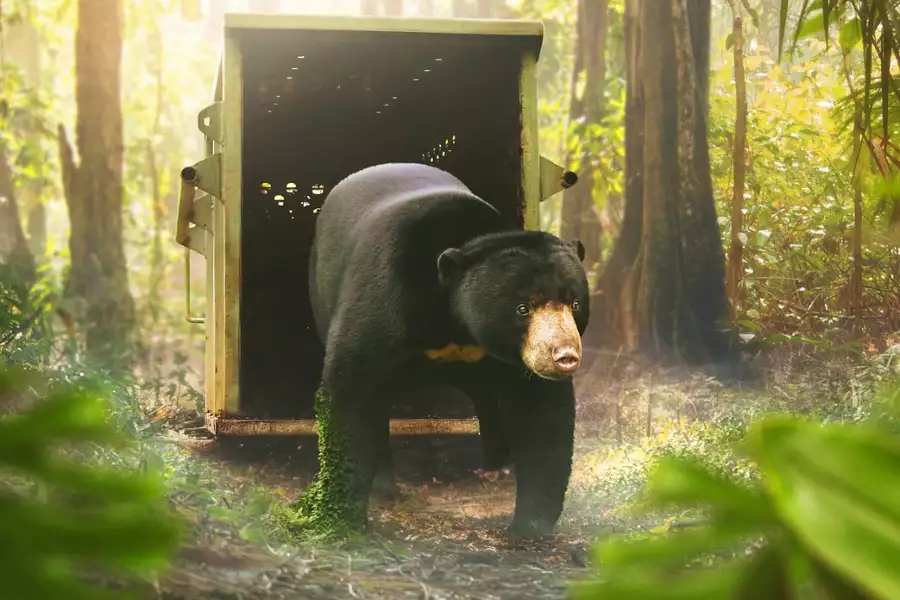 Azja - galeria zdjęć - filmweb