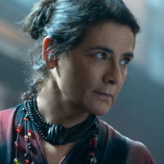 Profesor Armagan