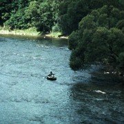 Wołanie - galeria zdjęć - filmweb