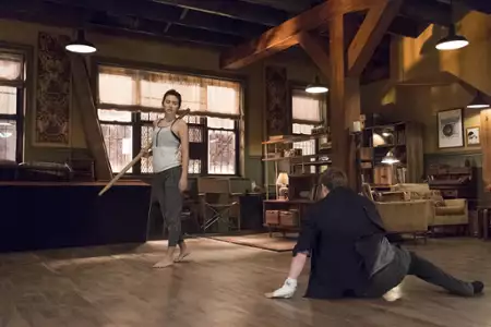 Iron Fist - galeria zdjęć - filmweb