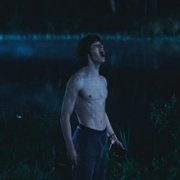 Le règne animal - galeria zdjęć - filmweb