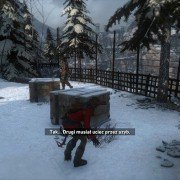 Rise of the Tomb Raider - galeria zdjęć - filmweb