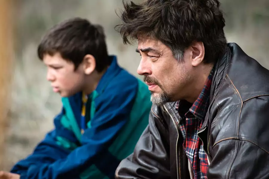 Cudowny dzień - galeria zdjęć - filmweb