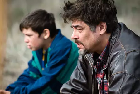 Cudowny dzień - galeria zdjęć - filmweb