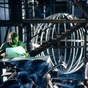 Brzuch architekta - galeria zdjęć - filmweb