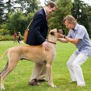 Marmaduke - pies na fali - galeria zdjęć - filmweb