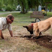 Marmaduke - galeria zdjęć - filmweb