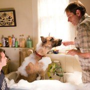 Marmaduke - pies na fali - galeria zdjęć - filmweb