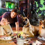 Marmaduke - galeria zdjęć - filmweb