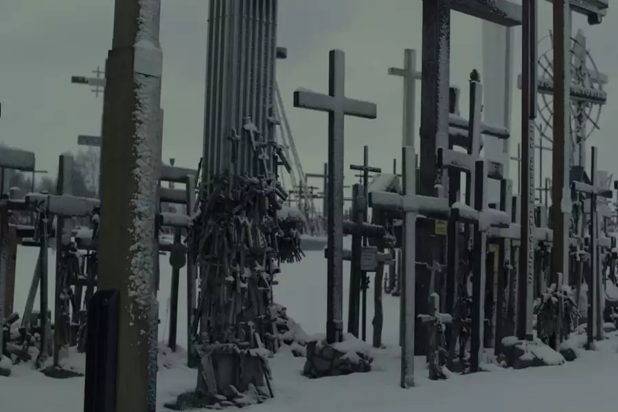 Kruk - galeria zdjęć - filmweb