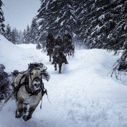 Birkebeinerne - galeria zdjęć - filmweb