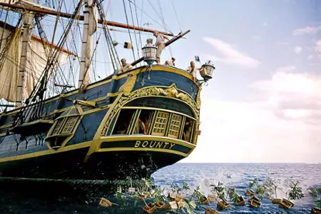 Bunt na Bounty - galeria zdjęć - filmweb
