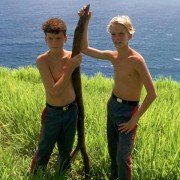 Lord of the Flies - galeria zdjęć - filmweb