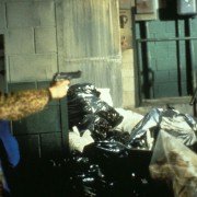 Due South - galeria zdjęć - filmweb