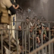 Apocalipsis Z: Parte II - galeria zdjęć - filmweb