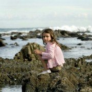 Flashbacks of a Fool - galeria zdjęć - filmweb